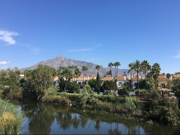 🎒 8 Jours de Voyage Scolaire en Andalousie : Entre Histoire, Soleil et Découvertes ! ☀️📚 - Image 8