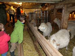 🐾 Voyage avec nos Amis les Animaux : Une Aventure Nature et Découverte 🌿 - Image 4