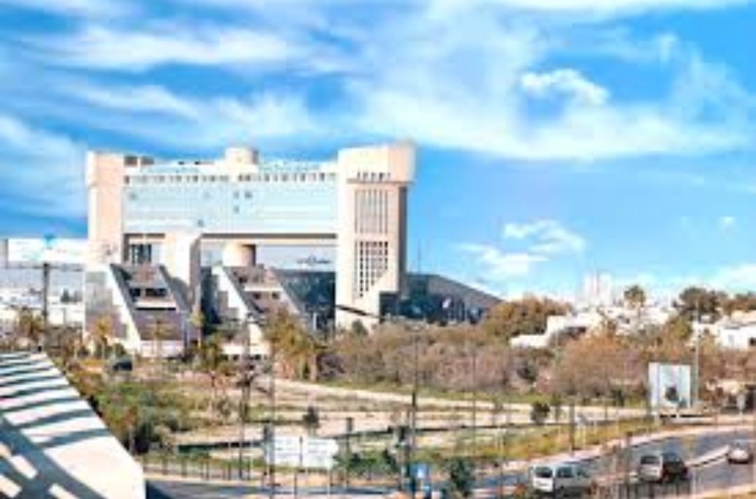 DÉCOUVERTE DES ENTREPRISES - Image 4