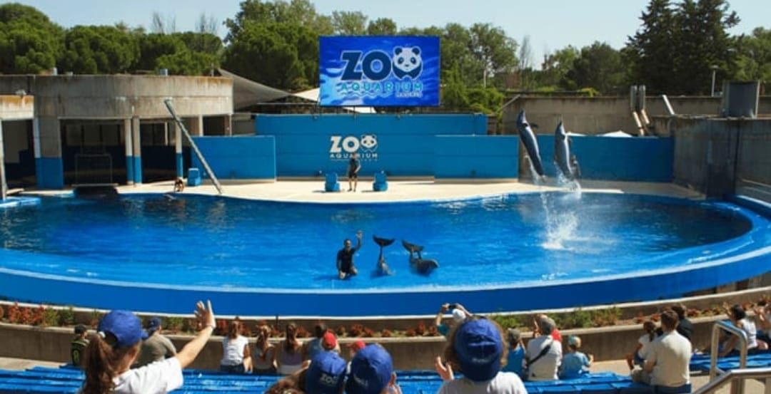 🚌 7 Jours à Madrid : À la Découverte du Cœur Culturel de l’Espagne 🇪🇸🎭 - Image 7