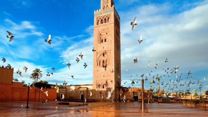 VSI6 – Voyage Scolaire International : Découverte de Marrakech et Lalla Takerkoust pour élèves étrangers