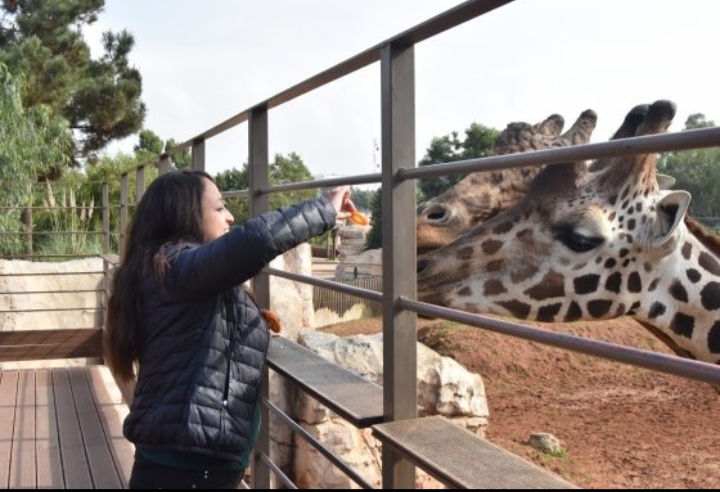 VS3 - Rabat-Marina Salé-Zoo de Temara, Waves aquaparc Kénitra