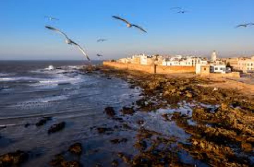 VS5 – Voyage Scolaire : Découverte d’Agadir, Tiliouine et Essaouira