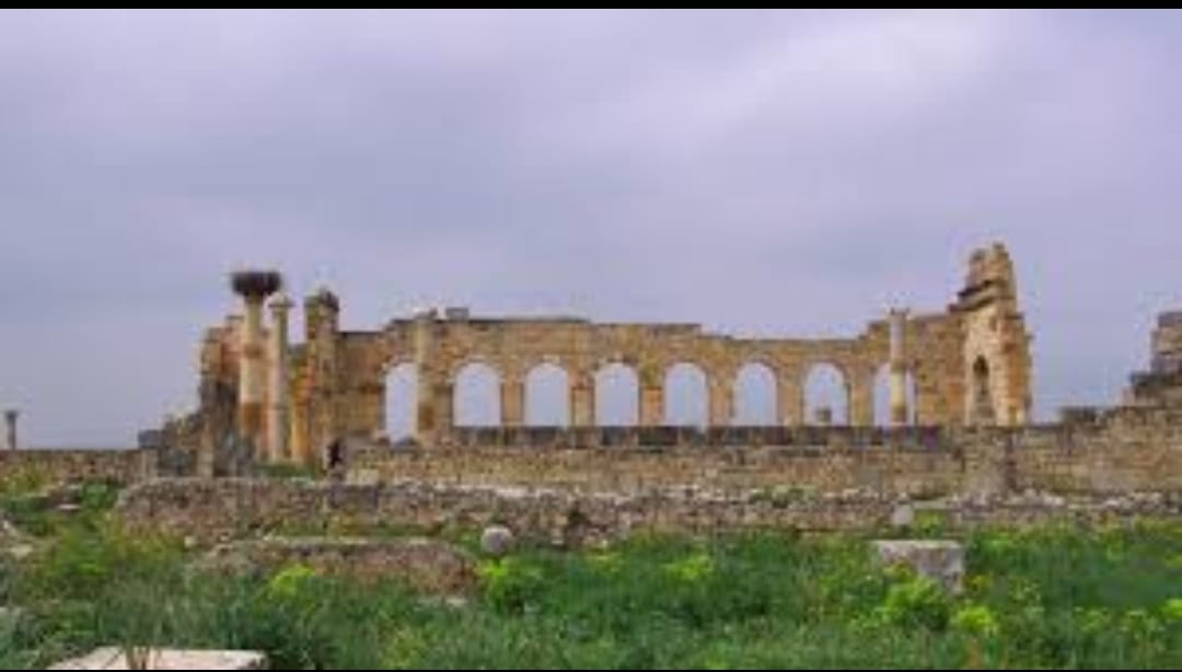 VS9 – Voyage Scolaire : Exploration de Fès, Ifrane, Meknès, Oualili et Moulay Idriss Zarhoune