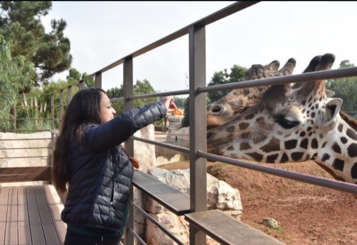 VSI1 – Voyage Scolaire International : Découverte de Rabat, Salé et Temara pour élèves étrangers