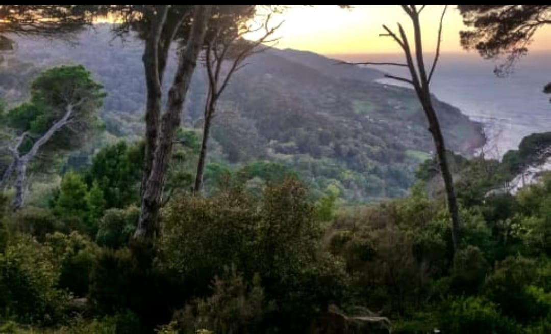 VS2 – Voyage Scolaire : Découverte de Tanger, Tétouan, Assila, Larache et Moulay Bousselham