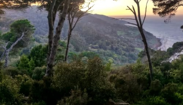 VSI10-Tanger-Tétouan-Assila-Larache-Moulay