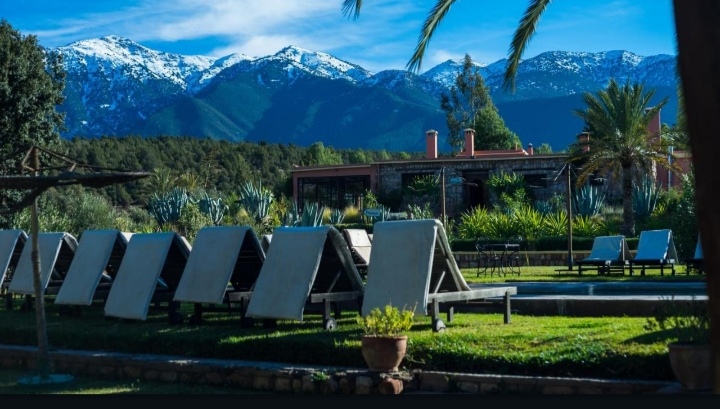 VSI8 – Voyage Scolaire International : Découverte de Marrakech et Ouirgane pour élèves étrangers