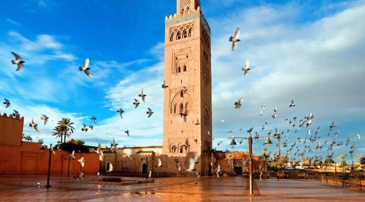 VSI8 – Voyage Scolaire International : Découverte de Marrakech et Ouirgane pour élèves étrangers