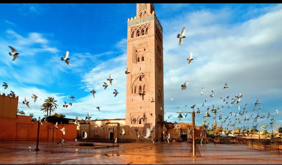 VS13 – Voyage Scolaire : Découverte de Marrakech, Ouirgane et l’UM6P