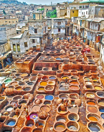 FÈs – Ifrane – Meknès – Oualili – Moulay Idriss Zerhoun