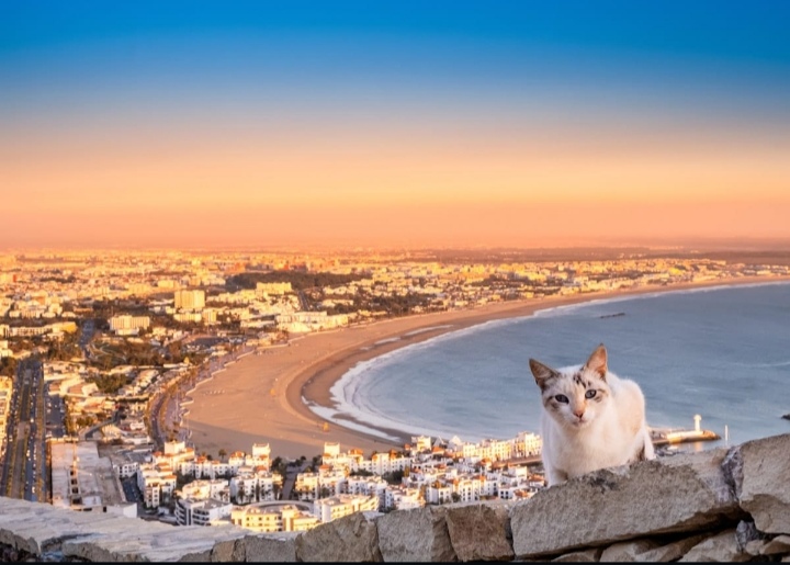 Agadir-Tiliouine-Essaouira, La capitale amazigh ensoleillée