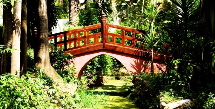 VSI1 – Voyage Scolaire International : Découverte de Rabat, Salé et Temara pour élèves étrangers