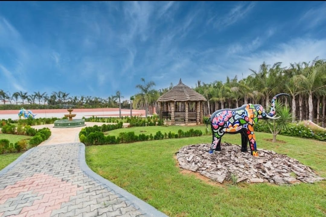 Sortie scolaire OASIS FARM SKHIRAT