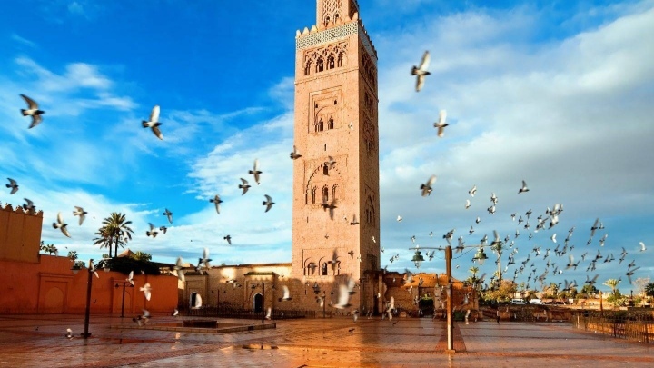 VSI7 – Voyage Scolaire International : Aventure à Marrakech et Terres d’Amanar pour élèves étrangers