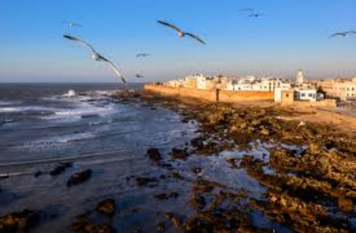 VSI9 – Voyage Scolaire International : Découverte d’Agadir, Tiliouine et Essaouira pour élèves étrangers